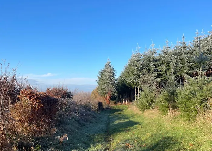 Tranquil Watermill Pre-en-Pail-Saint-Samson